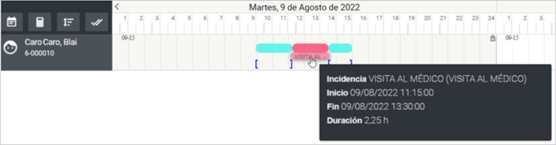 ej visita medica horas 2