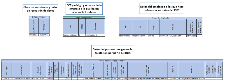 detalle excel FIE.png