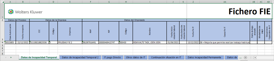 Excel FIE