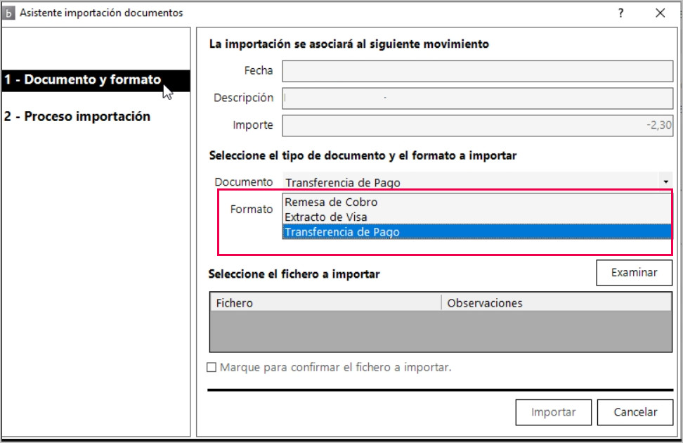 asistente visas