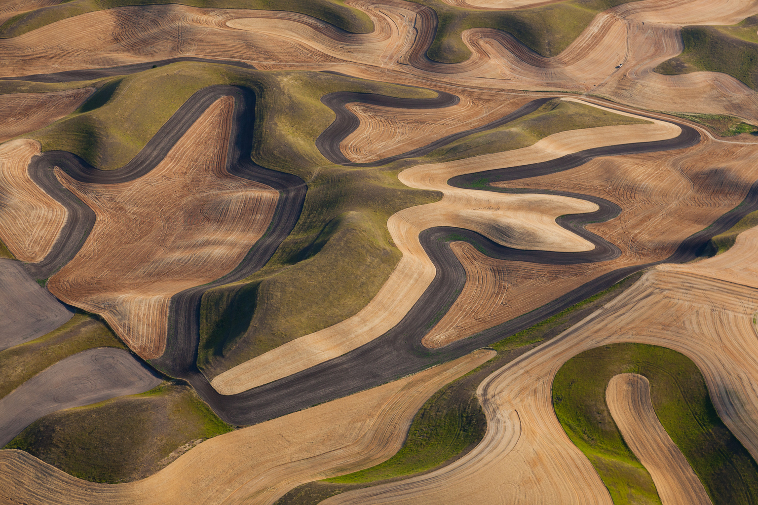 Farmland landscape, with ploughed fields and furrows in Palouse, Washington, USA. An aerial view with natural patterns,