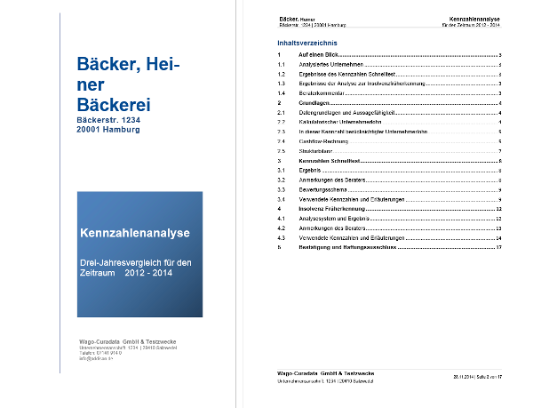 #3755506: akte jahresabschluss kennzahlenanalyse image61.png