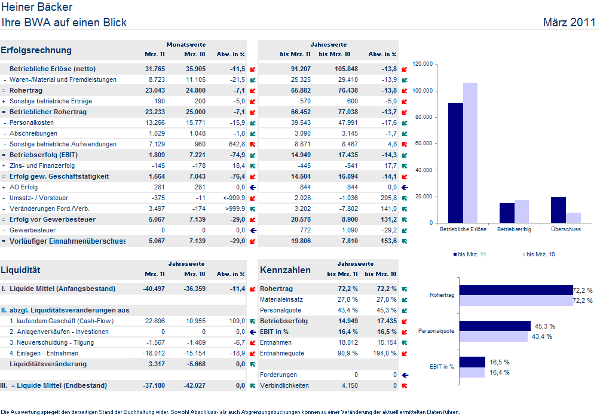 #3755892: akte fibu monatsreporting image17.png