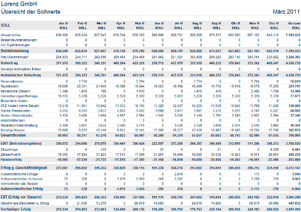 #3755957: akte fibu monatsreporting image33.png