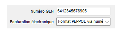 Option de menu_einvoicing_Facturation Peppol_7.png