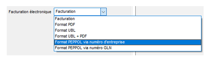 Option de menu_einvoicing_Facturation Peppol_5.png
