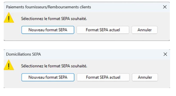 ExpertM_gewenste_SEPA_formaat_SEPA_fr.png