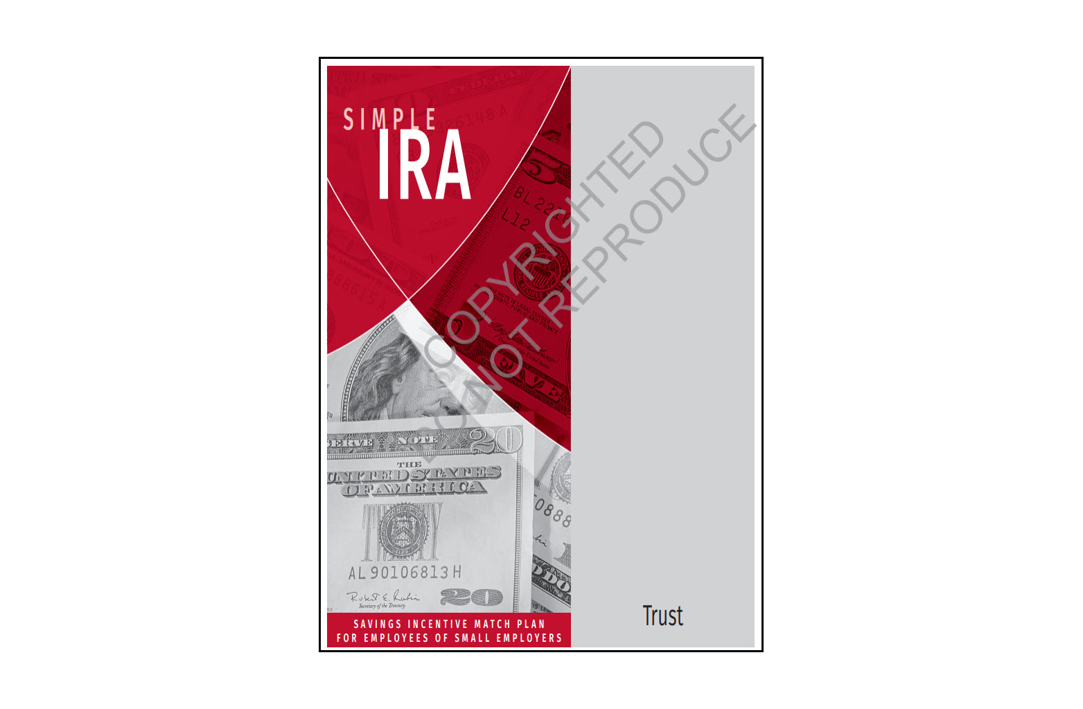 SIMPLE IRA organizer - trust sample