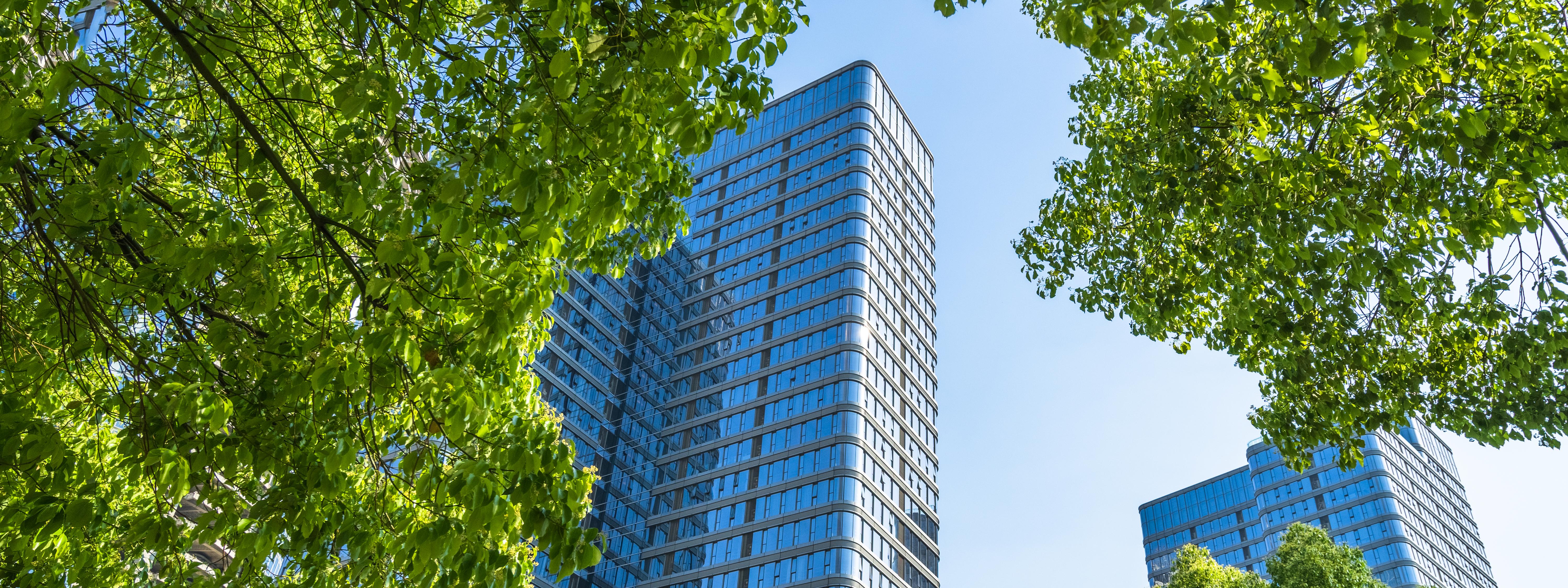 view of contemporary glass building with green trees, shanghai, china