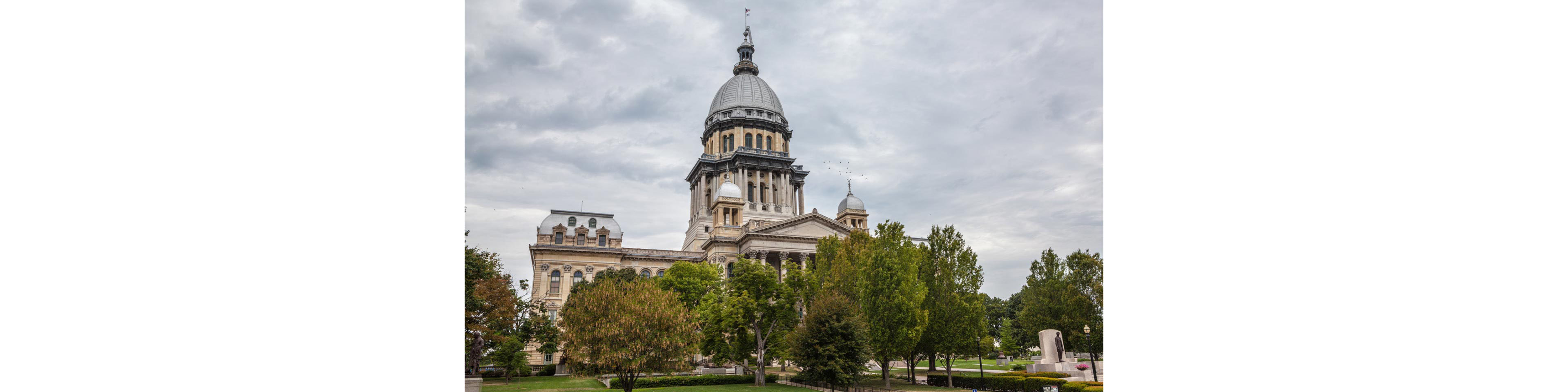 Illinois Authorizes Conversions and Domestications