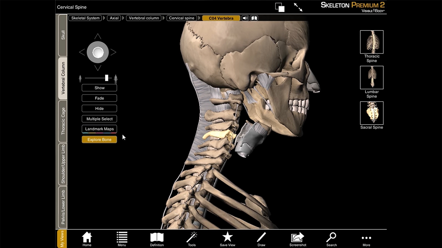 Screenshot of Visible Body Skeleton Premium Tutorial video