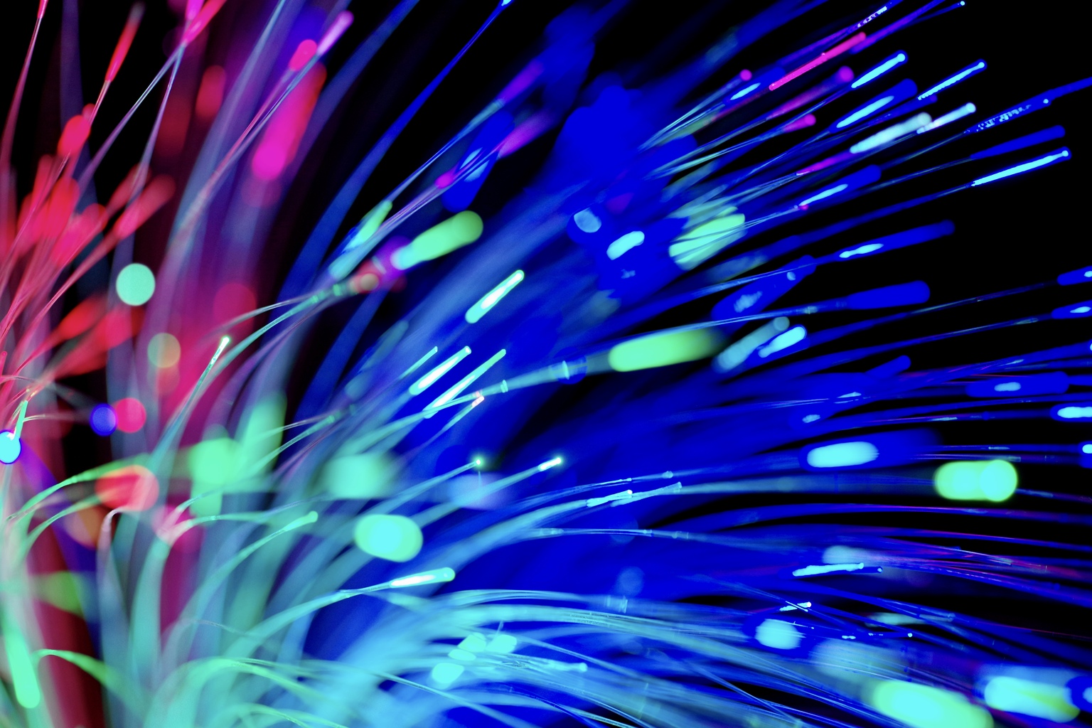 Fiber optic lights in blue, green, and pink against a black background