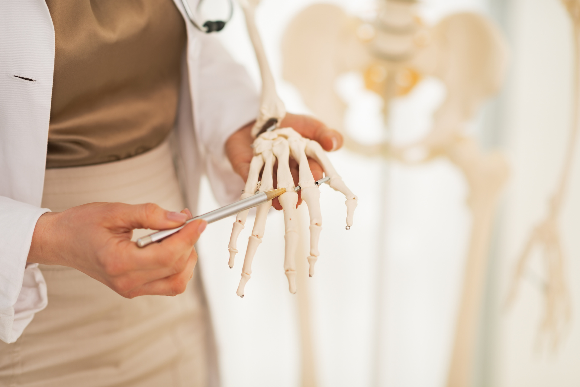 Teacher pointing to phalanges on classroom skeleton