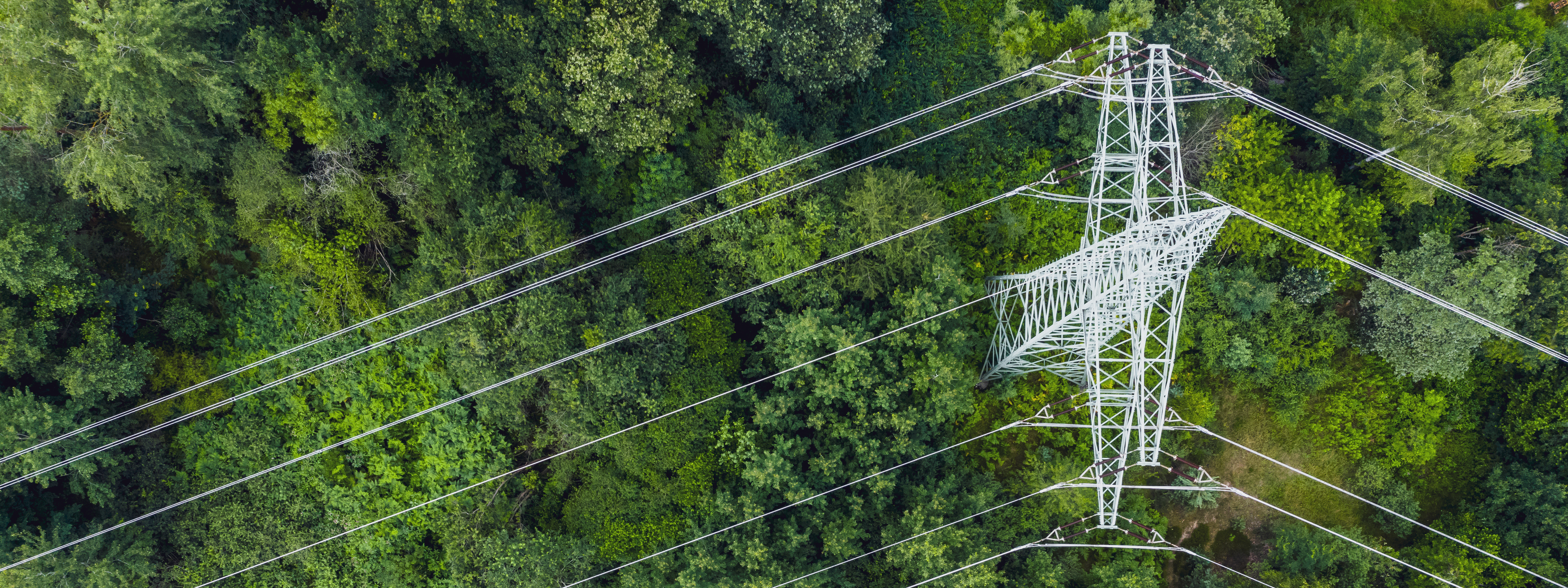 Aerial view of power lines leading through forest