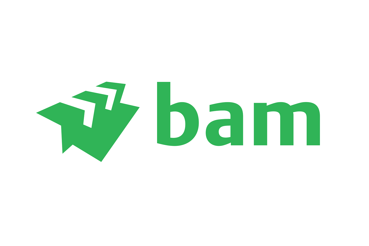 BAM logo