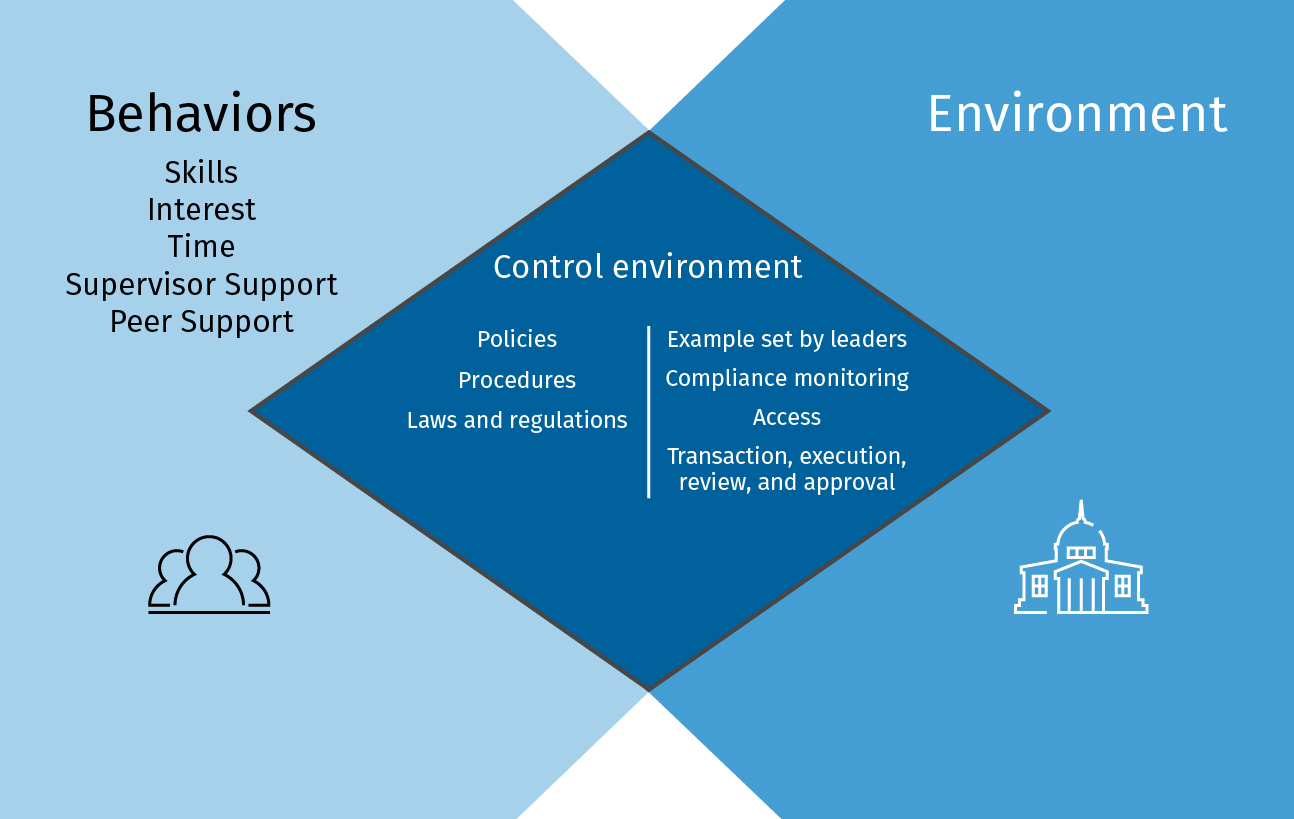 Defining the auditors role graphic 1