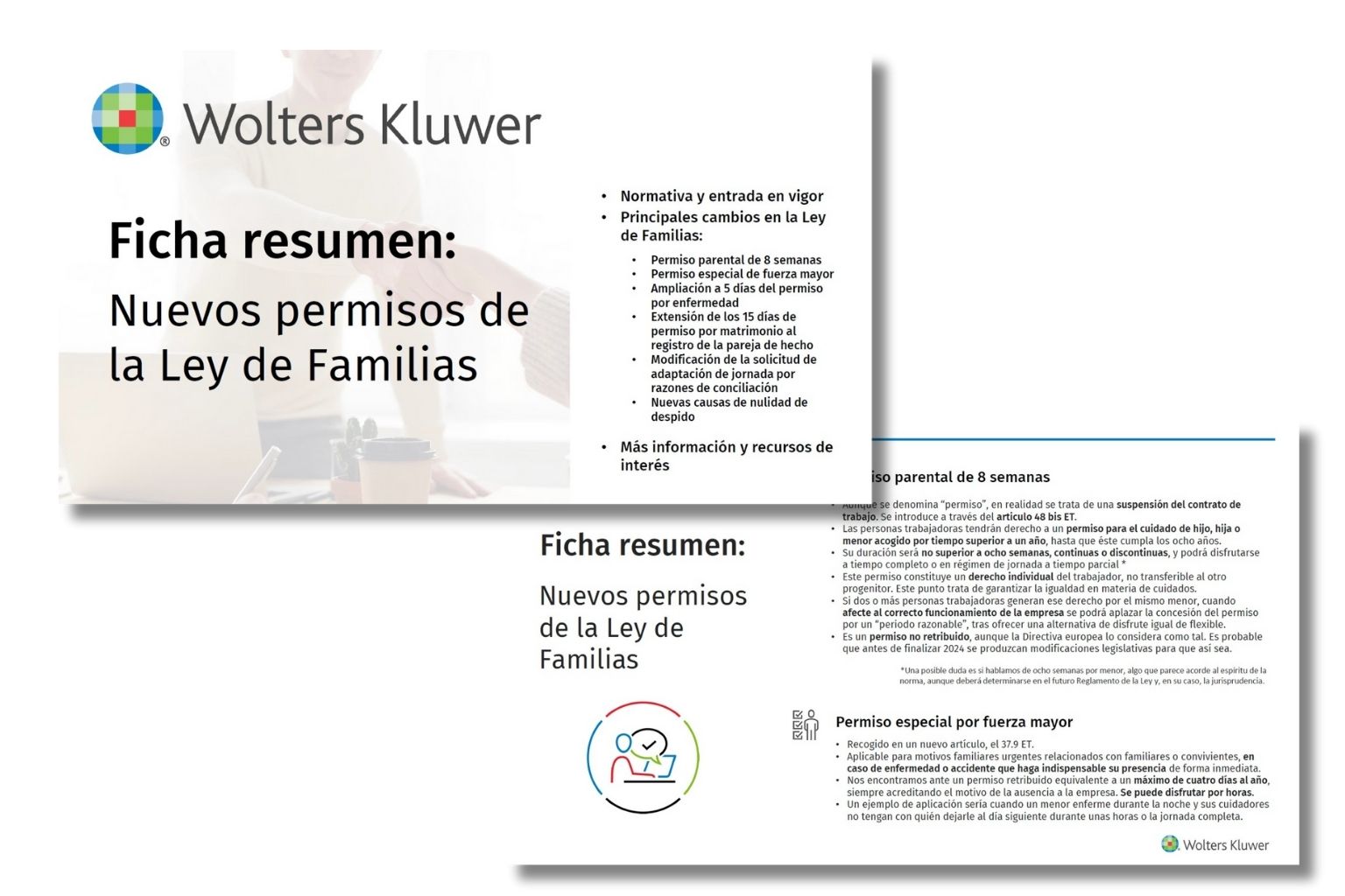 paginas-ficha-resumen-permisos-ley-familias