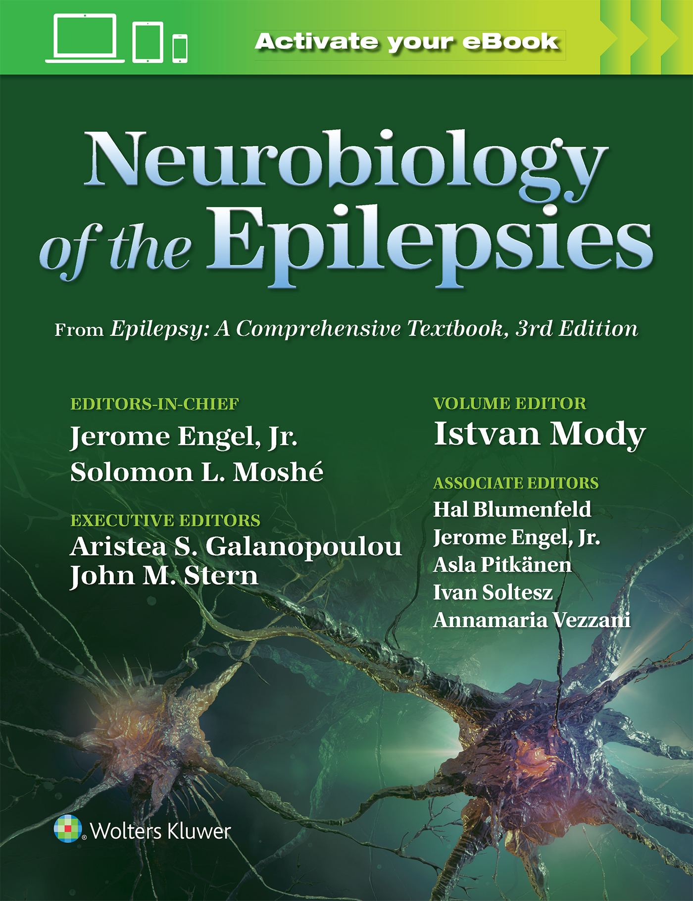 Neurobiology of the Epilepsies