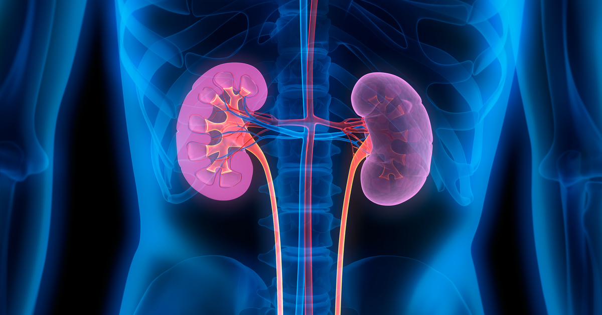 Technology and surveillance help pharmacists improve precision renal ...