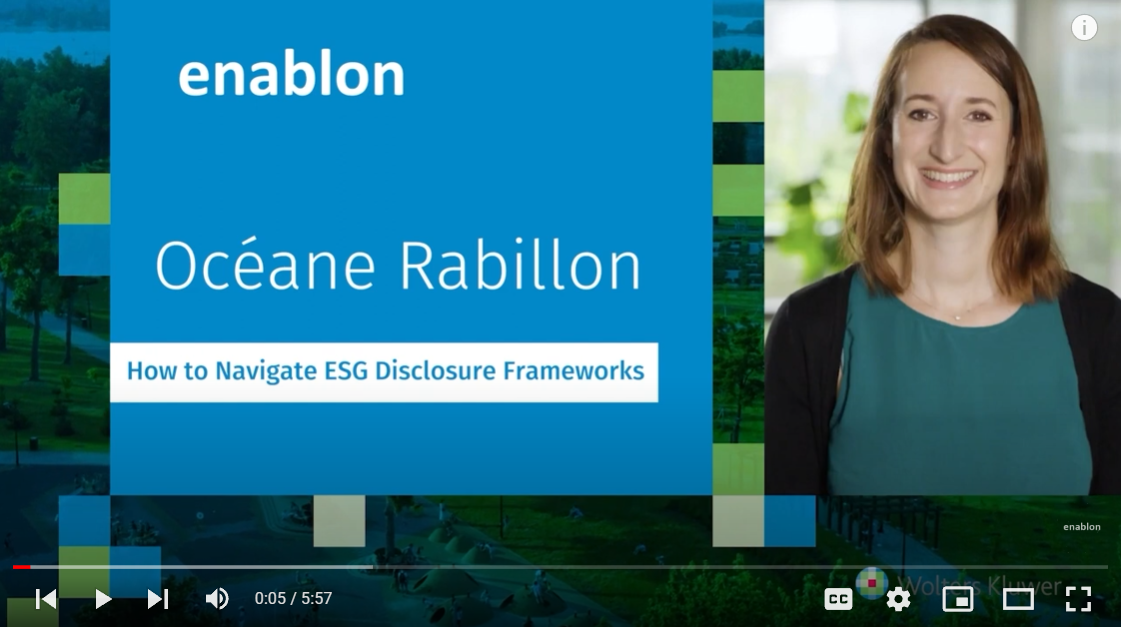 ESG Disclosure Frameworks