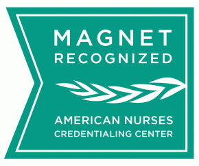 Magnet Recognized image