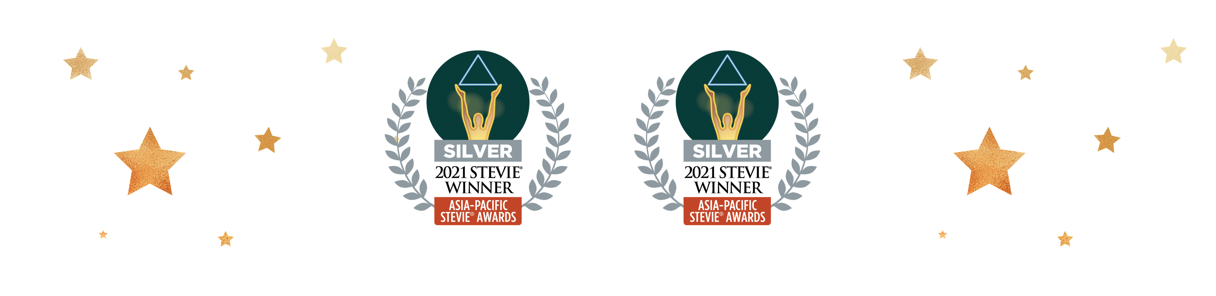 Stevie Banner Silver