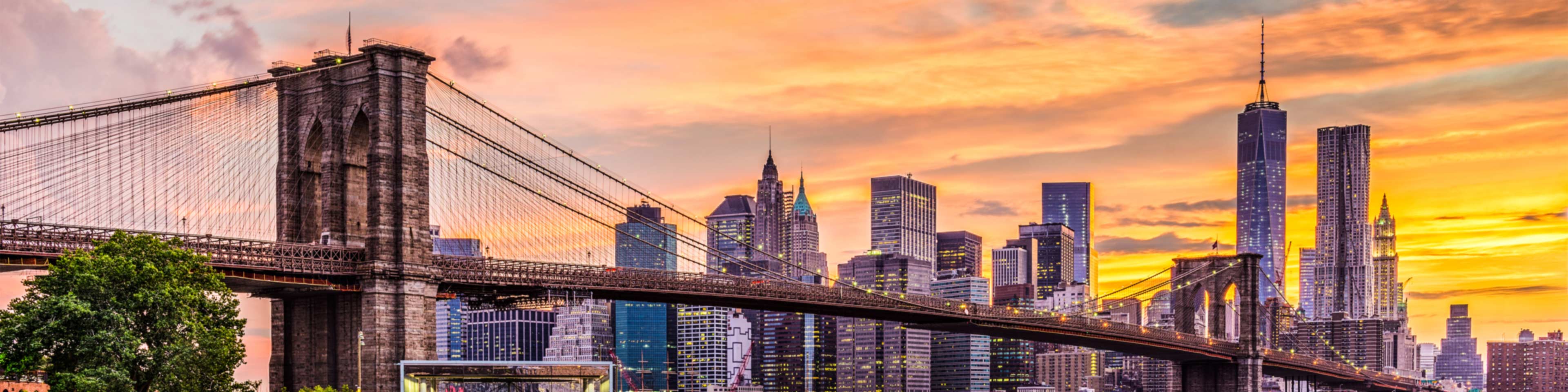 Skyline view of  NYC and the Brooklyn bridge