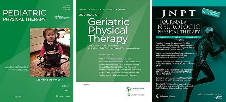 Screenshot of three physical therapy journals