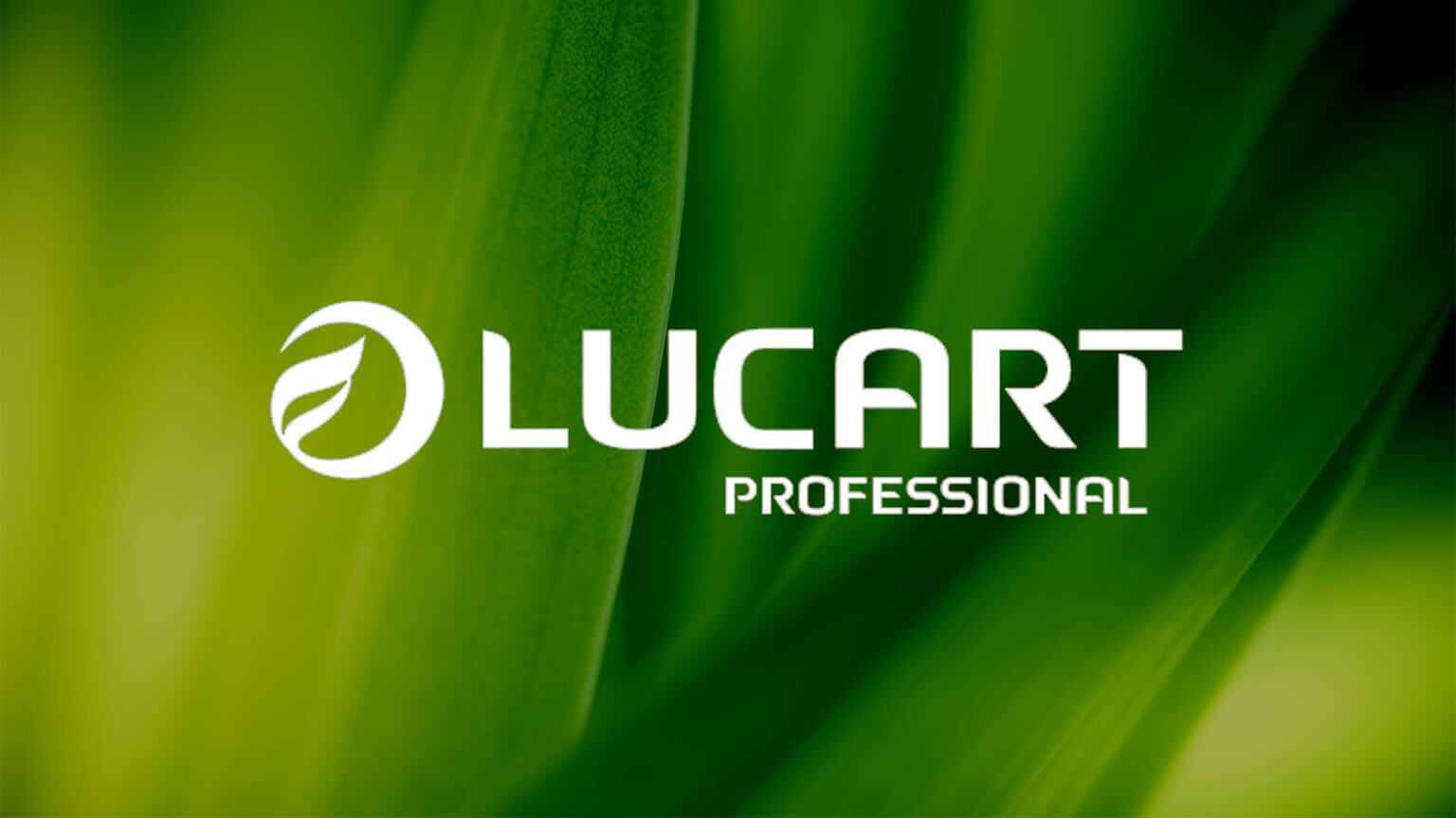 lucart-cch-tagetik-customer
