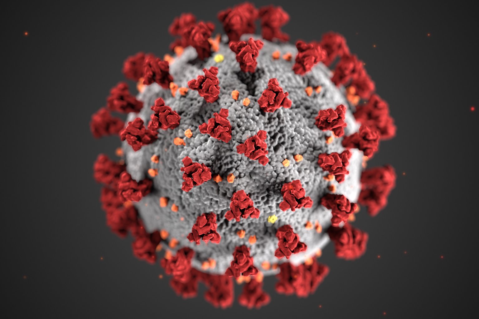 This illustration, created at the CDC, reveals ultrastructural morphology exhibited by coronaviruses, when viewed electron microscopically