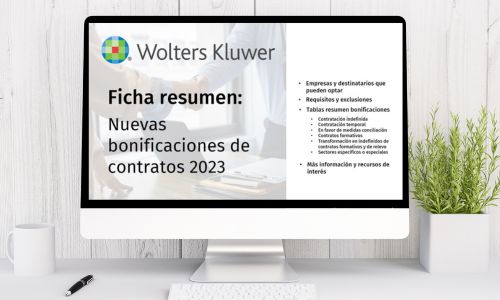 ficha resumen bonificaciones a la contratación