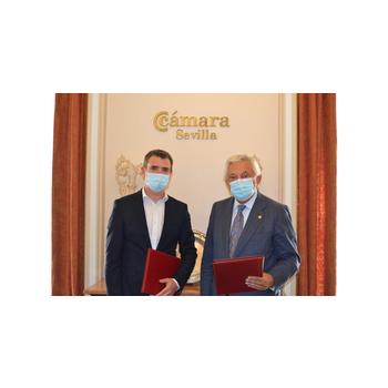 Comprar lady era generico