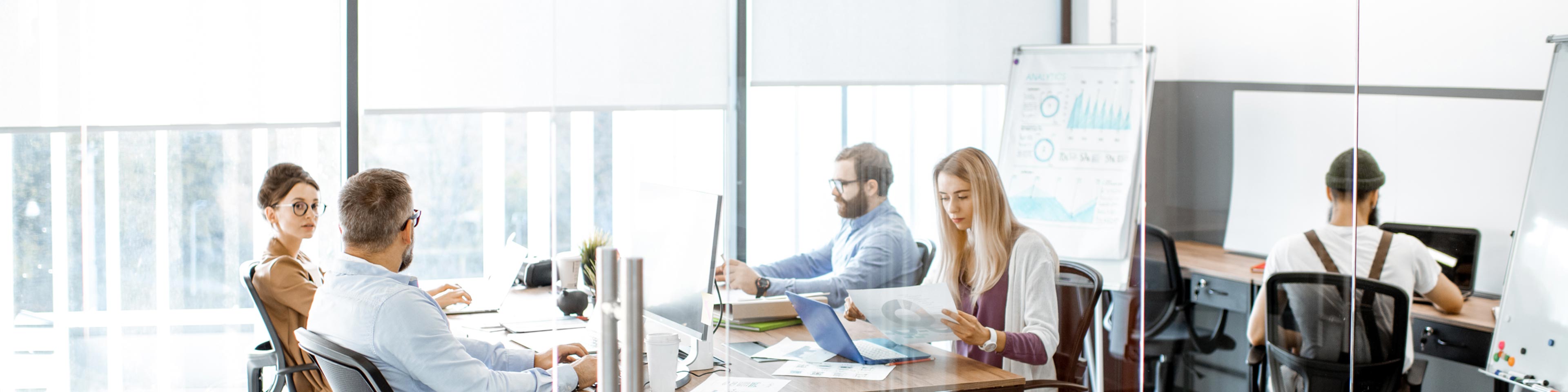 Business men and women sitting at their desks working