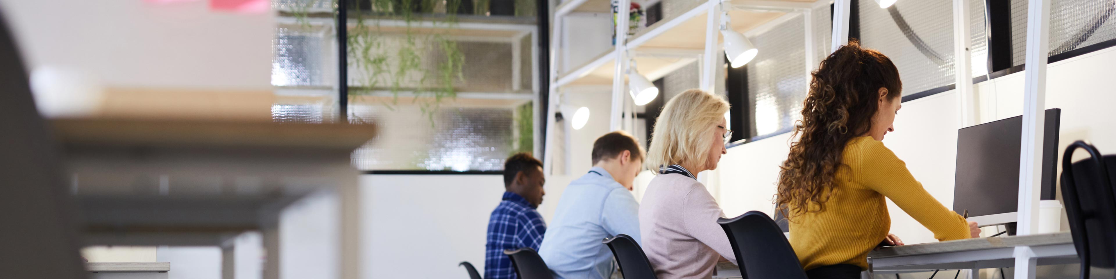 coworkers reviewing sexual harassment policy