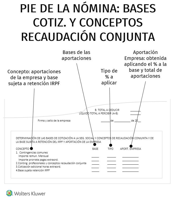 Aprende cómo hacer una nómina paso a paso