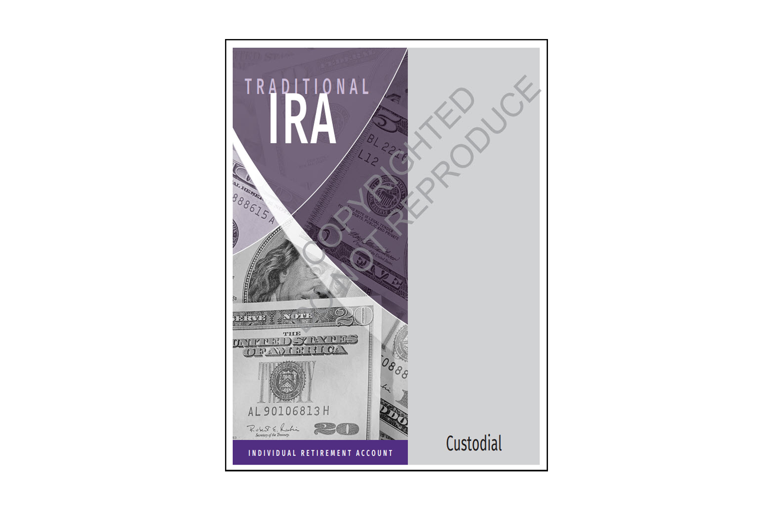 Traditional IRA Organizer - Custodial sample