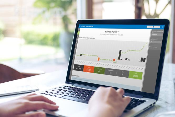 Finsit Financial Insights Business Activity Screenshot