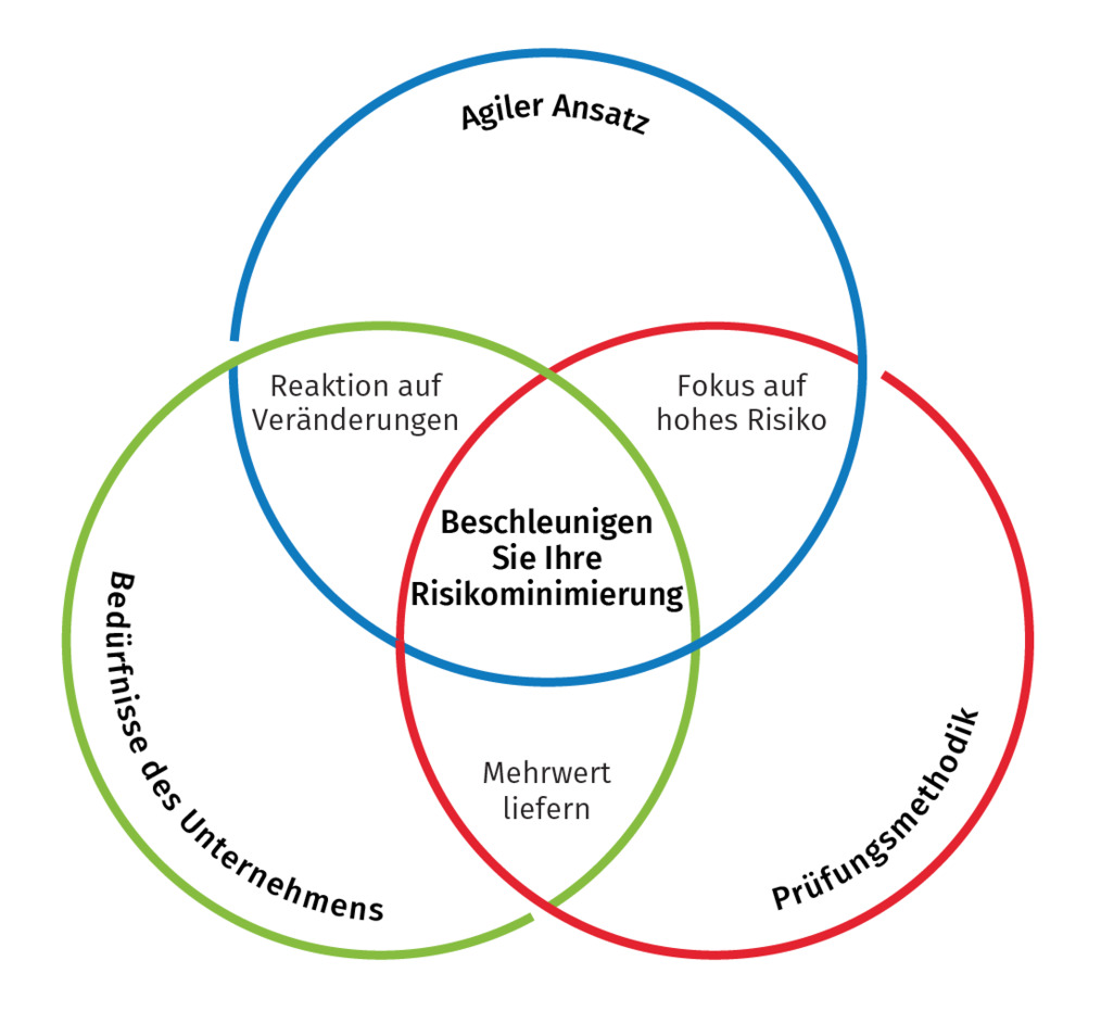 Agile Audit-Prozessgrafik Beschleunigen Sie Ihre Risikominimierung