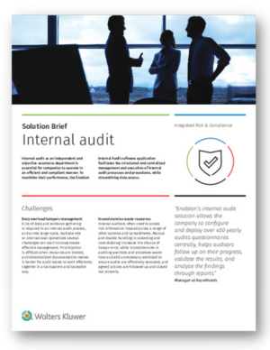 Solution Brief Preview_Internal Audit