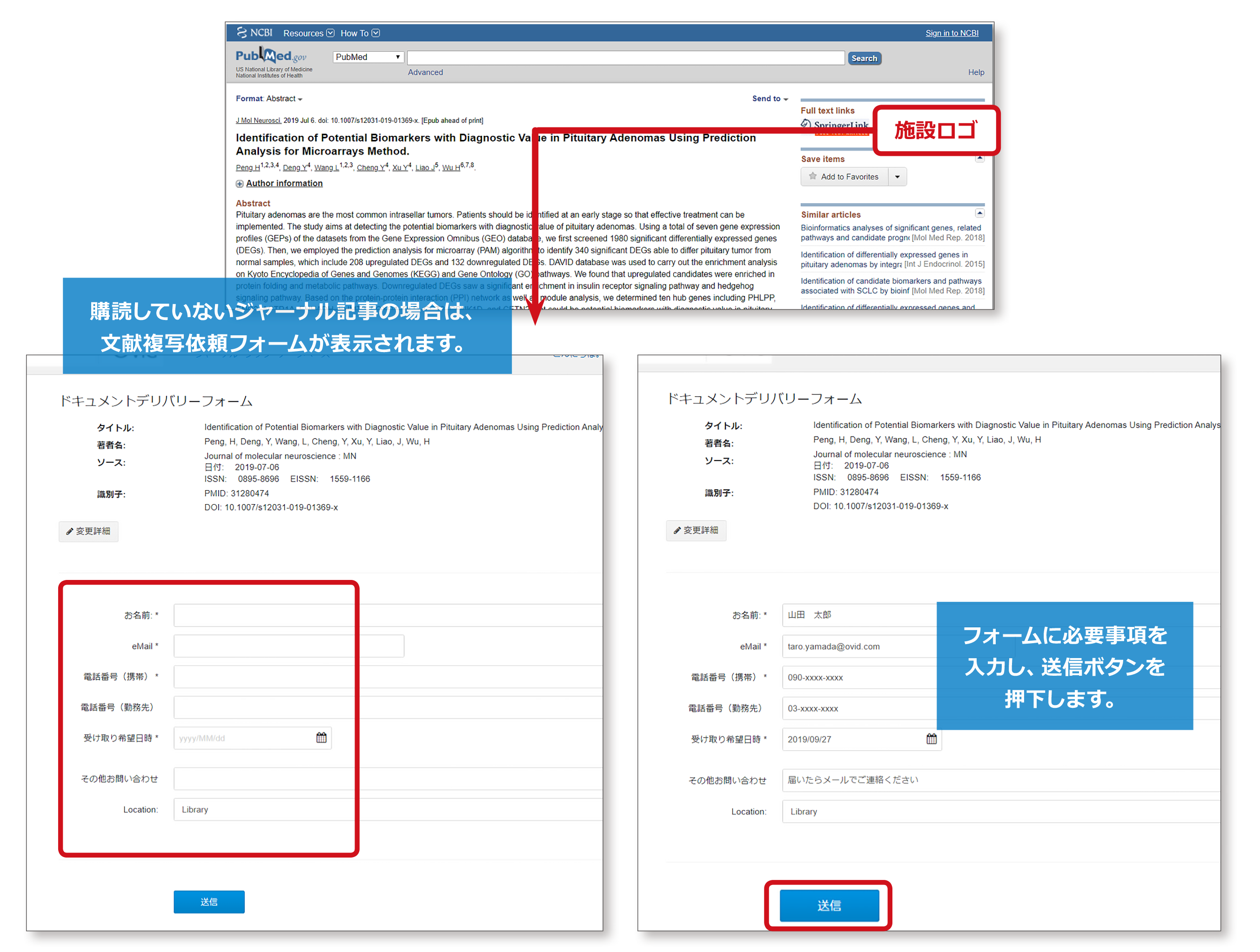 Screenshot of Ovid Discovery Link Resolver doc delivery flow