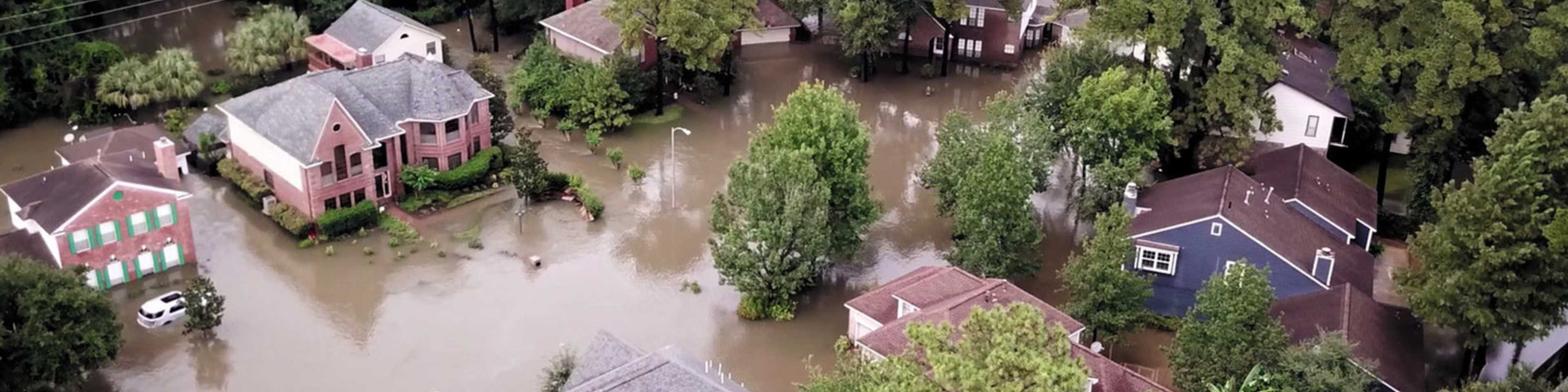 Support after Harvey