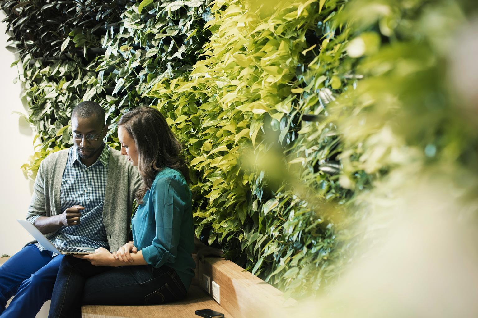 Businessman and woman sitting in front of green plant wall, using laptop