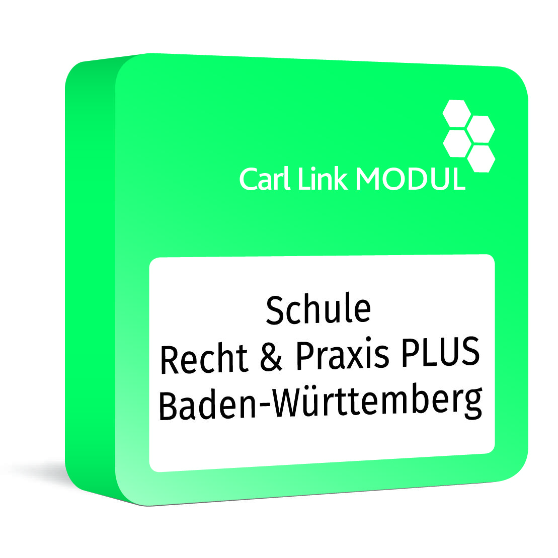 Carl Link Modul Schule - Recht & Praxis PLUS Baden-Württemberg