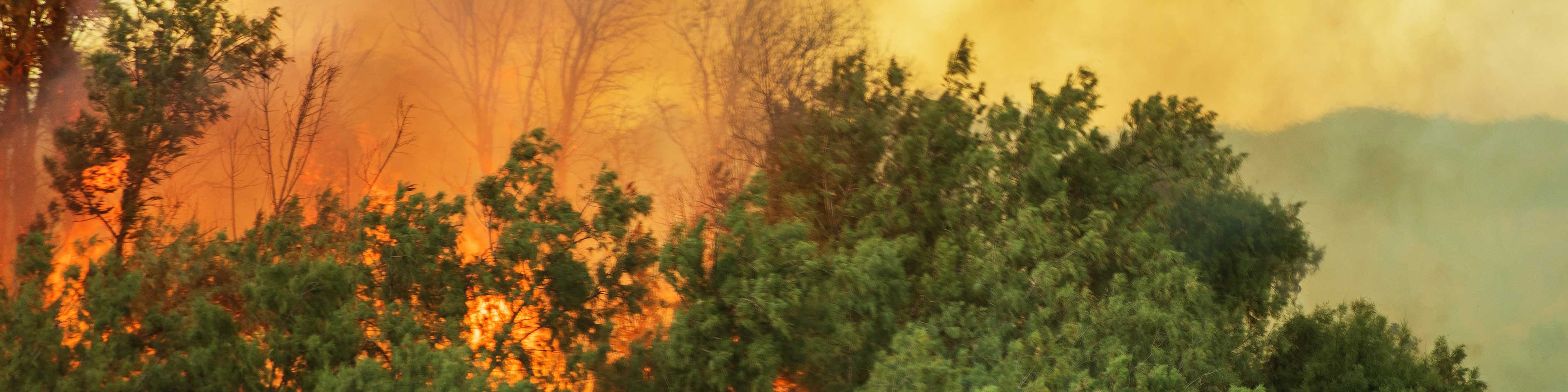 Tax relief for New Mexico victims of wildfires and straight-line winds