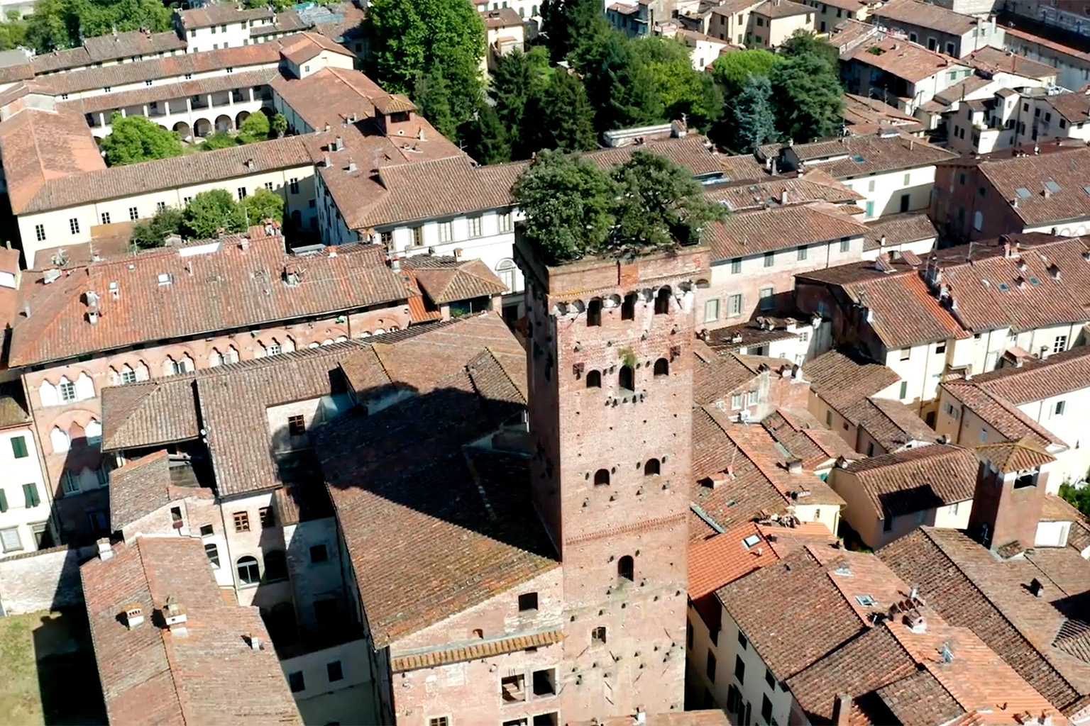 lucca-bestof-intouch-thumbnail.jpg