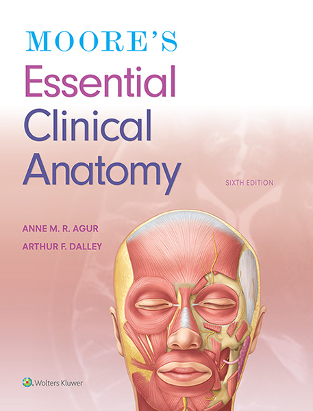 Moore's Essential Clinical Anatomy book cover