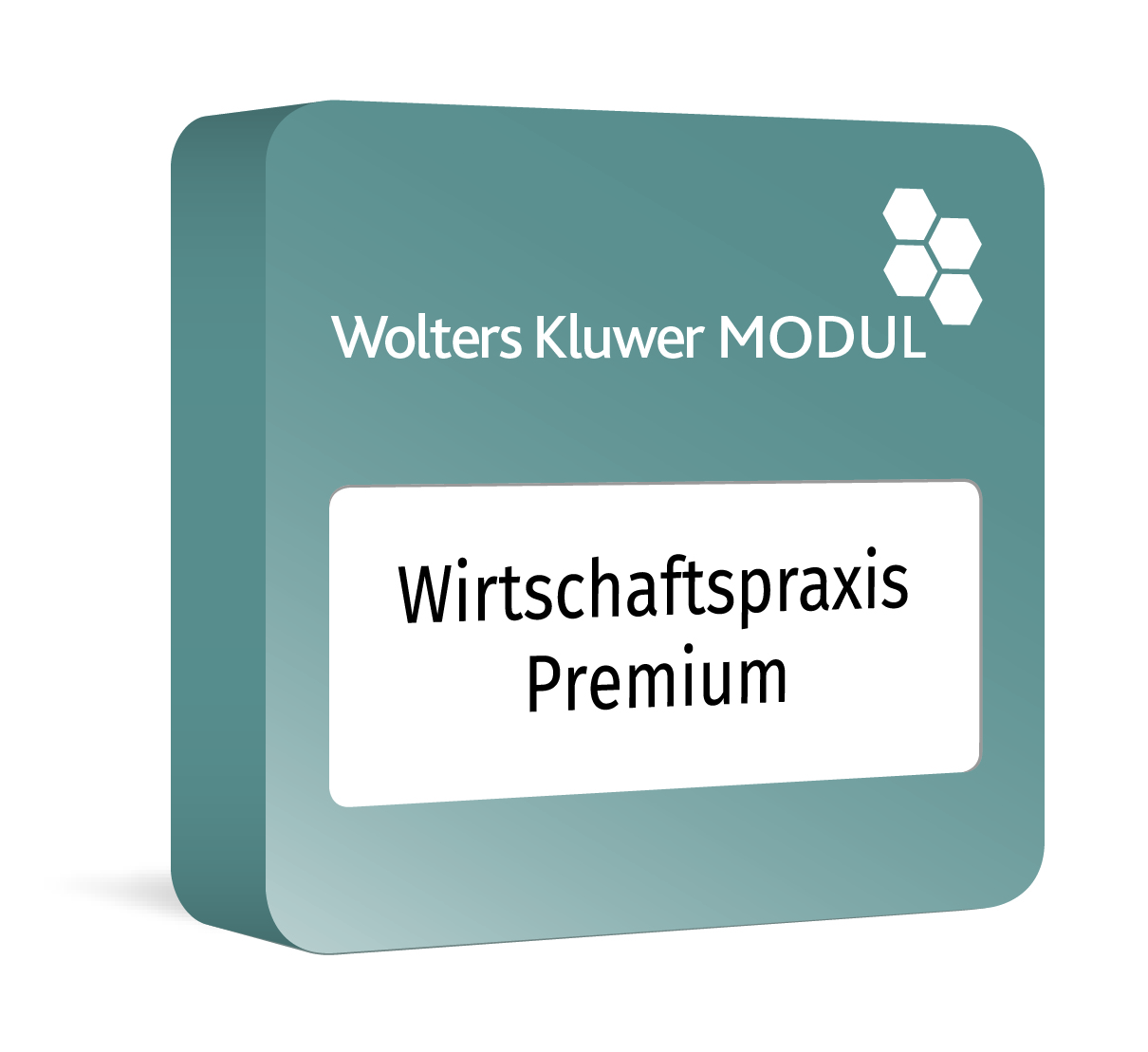 Wirtschaftspraxis Premium