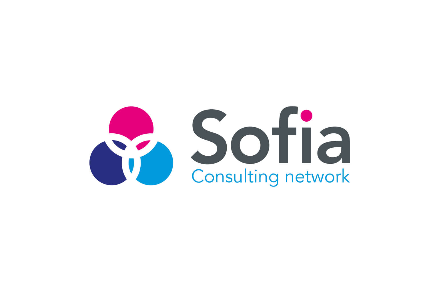 Sofia Consulting B.V.