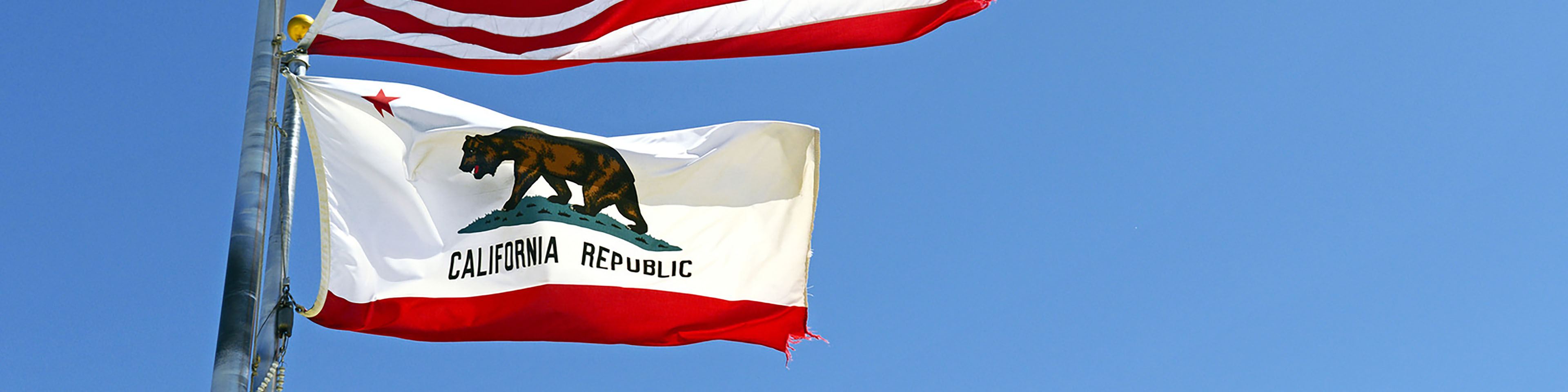 California Amends Law for Corporation & LLC Dissolutions