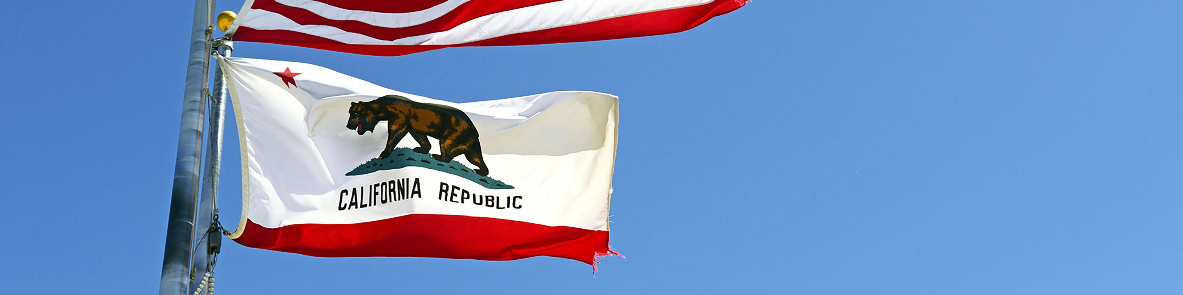 California Amends Law for Corporation & LLC Dissolutions